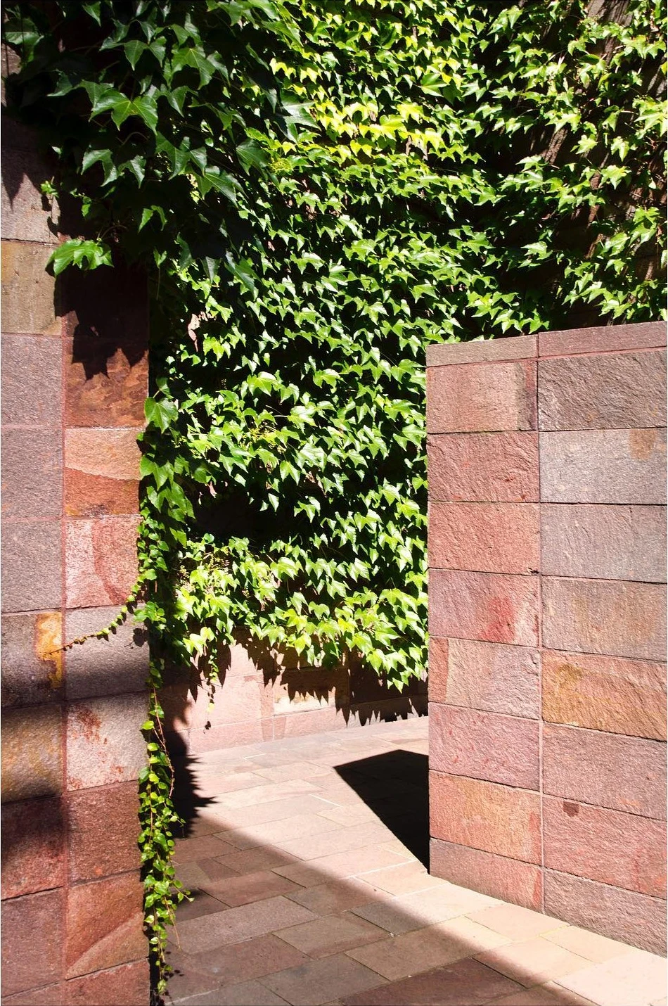 Red Paving Stone
