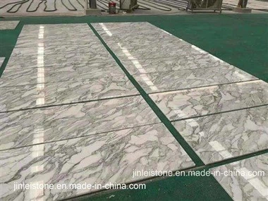 بلاط أرضيات رخام من حجر أرابيسكاتو الطبيعي